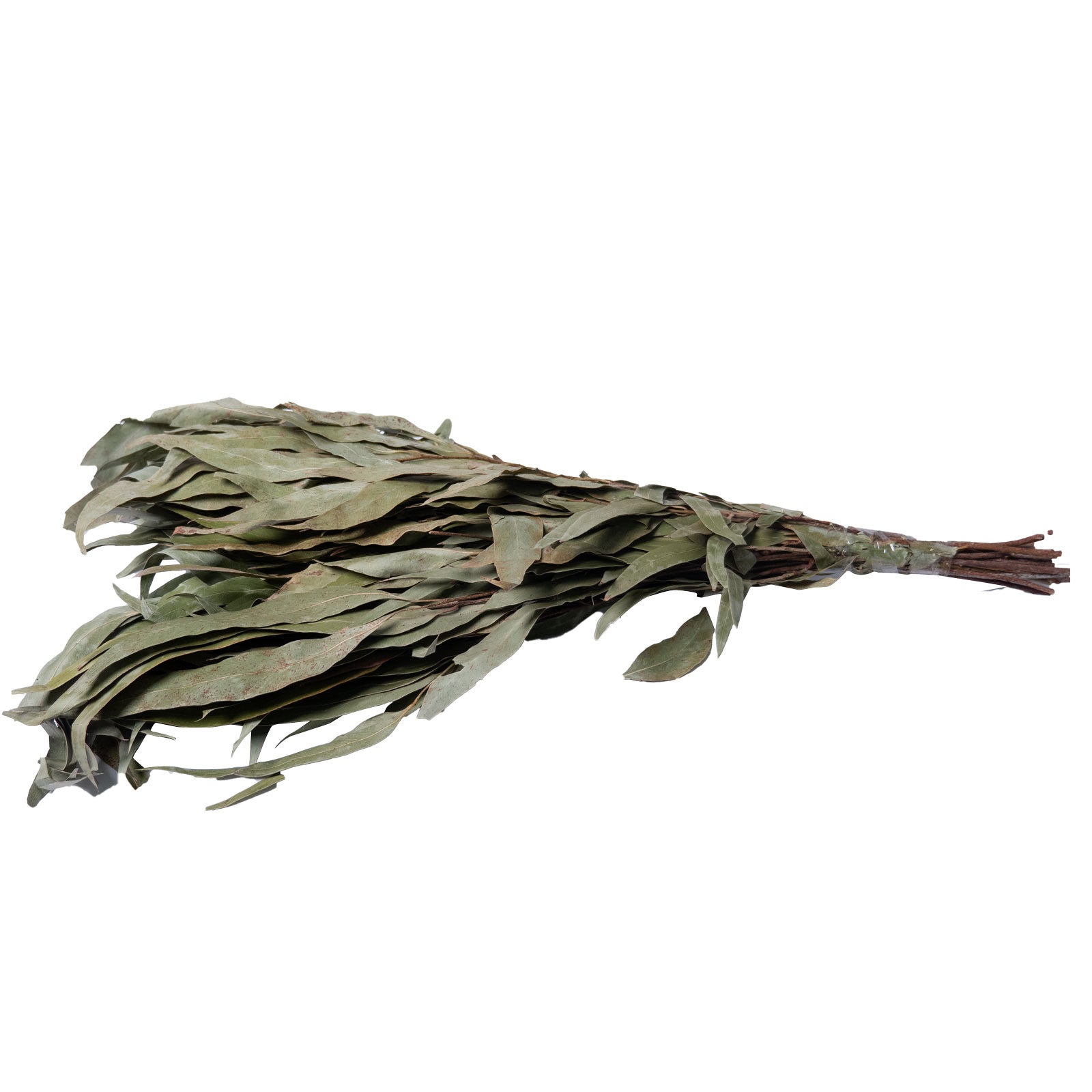 Sauna Whisk